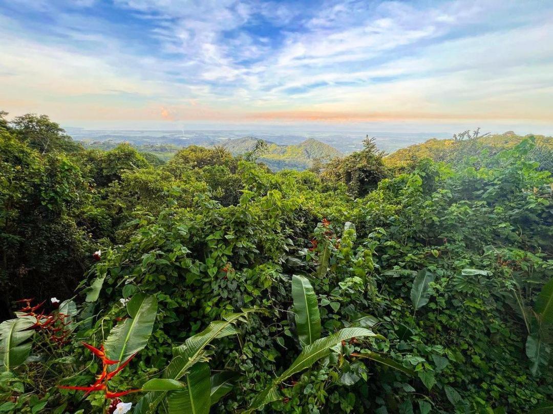Domos Mirador Romantic Private Honeymoon Glamping Miramar エクステリア 写真