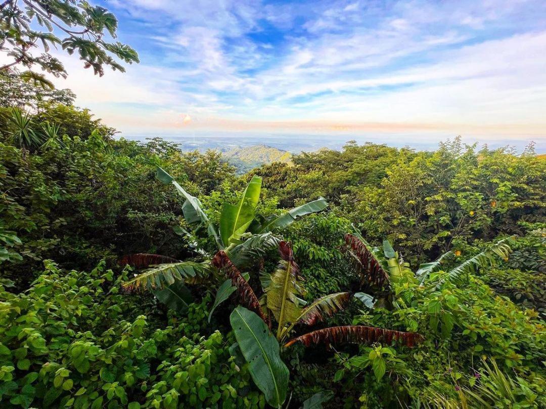 Domos Mirador Romantic Private Honeymoon Glamping Miramar エクステリア 写真